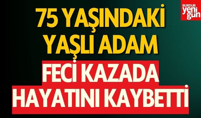 75 Yaşındaki Sürücü Feci Kazada Yaşamını Yitirdi
