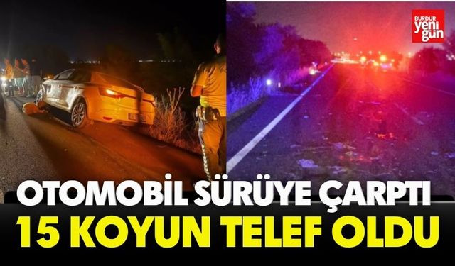 Otomobil Sürüye Çarptı 15 Koyun Telef Oldu