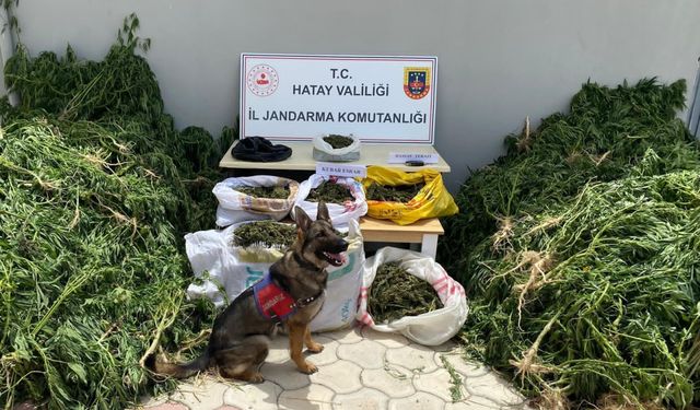 Hatay'da uyuşturucu ve kaçakçılık operasyonlarında 83 şüpheli yakalandı