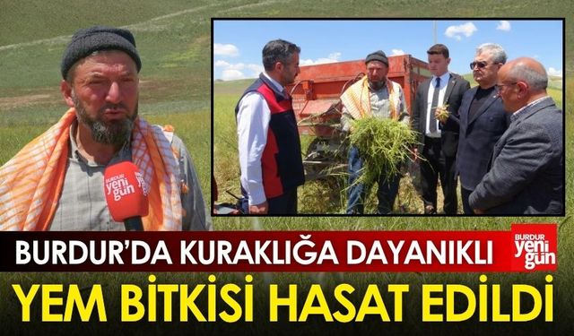 Burdur'da Kuraklığa Dayanıklı Yem Bitkisi Hasat Edildi