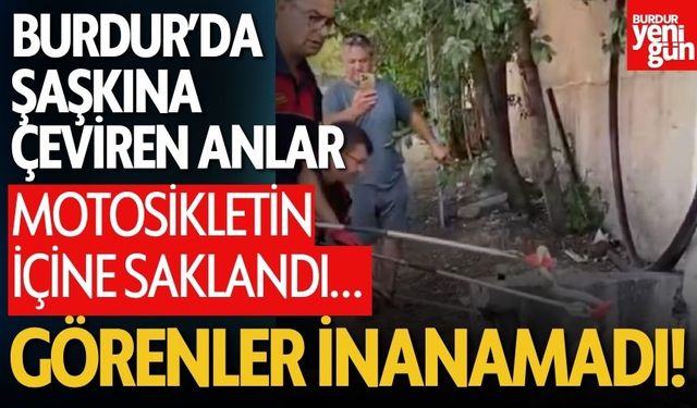 Burdur'da Motosikletin İçinden Yılan Çıktı