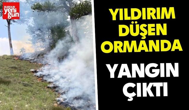 Yıldırım Düşen Ormanda Yangın Çıktı