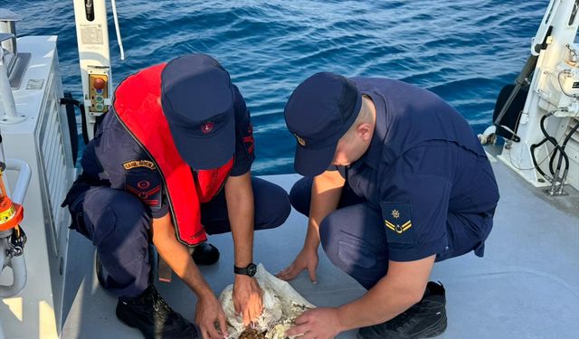 Antalya'da çuvala takılan deniz kaplumbağasını sahil güvenlik kurtardı