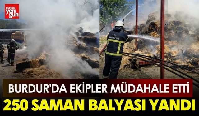 Burdur'da 250 Saman Balyası Yandı