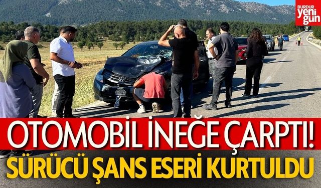 Isparta Haberleri