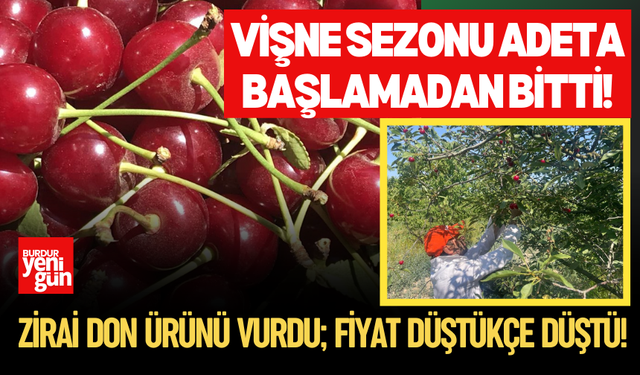 Vişne sezonu adeta başlamadan bitti!