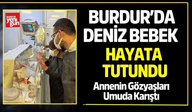 Burdur'da Deniz Bebek Hayata Tutundu