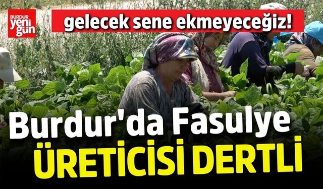 Burdur'da Fasulye Üreticisi Dertli