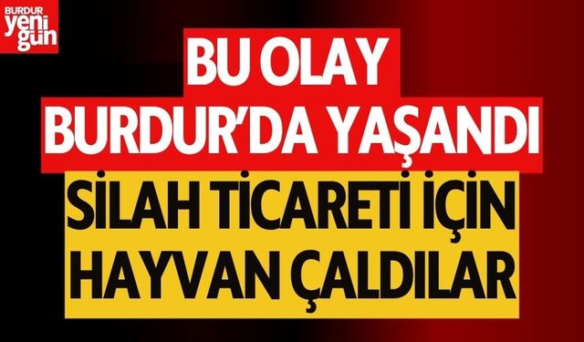 Bu Olay Burdur'da Yaşandı! Silah Ticareti İçin Hayvan Çaldılar