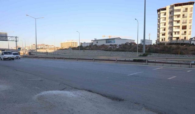 Ahırdan kaçan buzağı, kara yoluna çıkınca sürücülere zor anlar yaşattı
