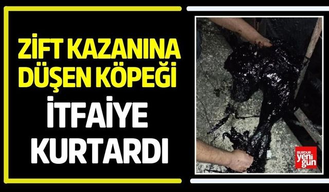 Zift Kazanına Düşen Köpeği İtfaiye Kurtardı