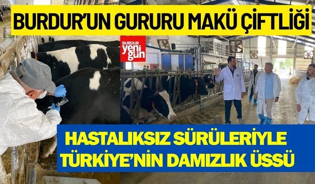Burdur’un Gururu MAKÜ Çiftliği: Hastalıksız Sürüleriyle Türkiye’nin Damızlık Üssü