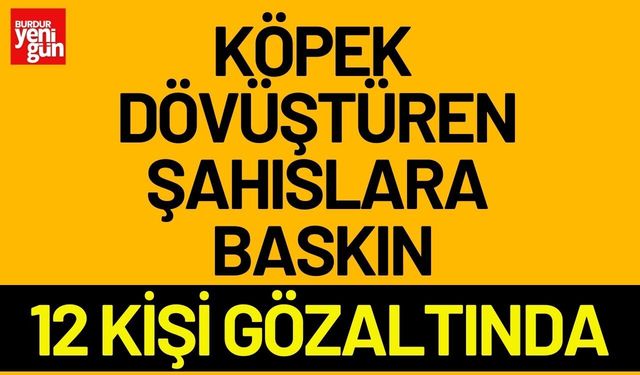 Köpek Dövüştüren Şahıslara Jandarma'dan Baskın: 12 Kişi Gözaltına Alındı