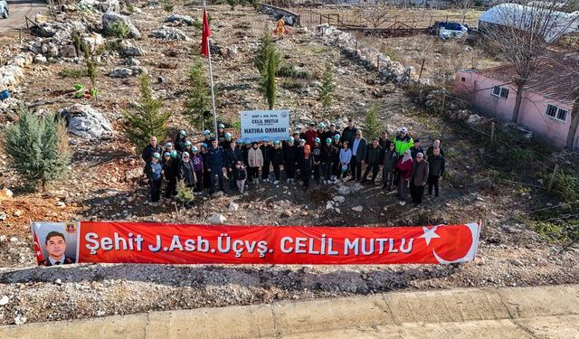 Mersinli şehit için oluşturulan hatıra ormanına yeni fidanlar dikildi