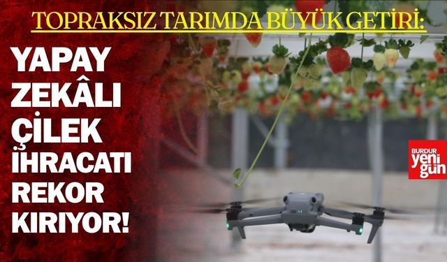 Yapay zeka destekli topraksız serada üretilen çilek 7 ülkeye ihraç edildi
