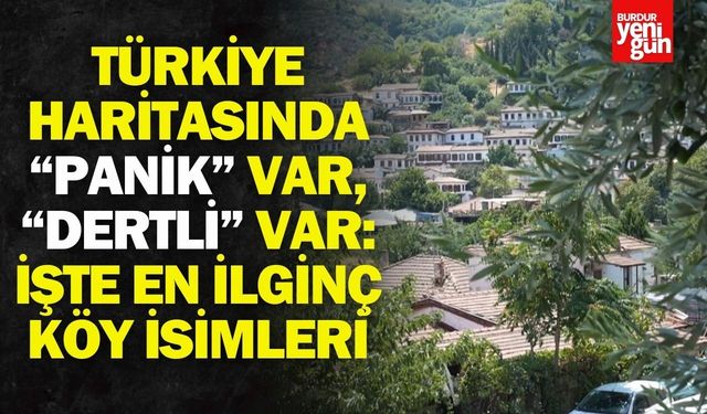 Türkiye'nin en ilginç köy isimleri: Panik, Dertli, Sinek