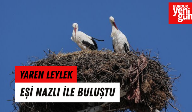 Yaren Leylek eşi Nazlı'yla buluştu