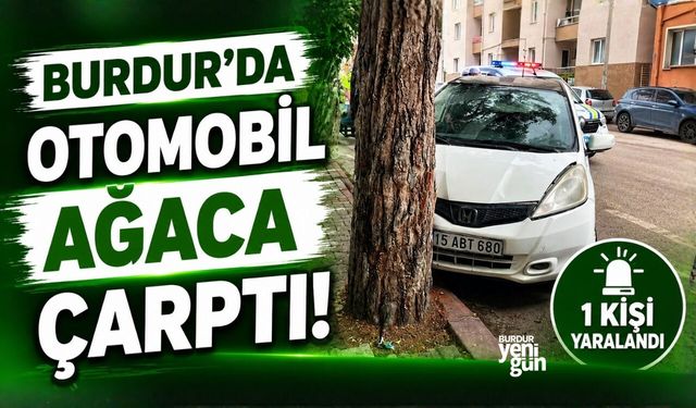 BURDUR’DA OTOMOBİL AĞACA ÇARPTI: 1 KİŞİ YARALANDI
