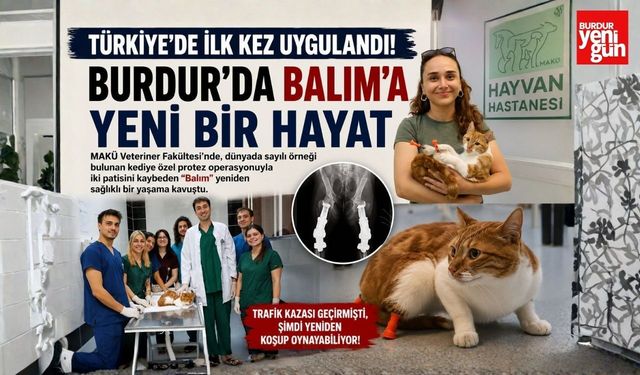 Türkiye'de İlk Kez Uygulandı! Burdur'da Balım'a Yeni Bir Hayat