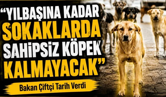 Genel