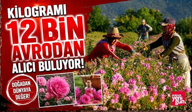 Isparta Haberleri