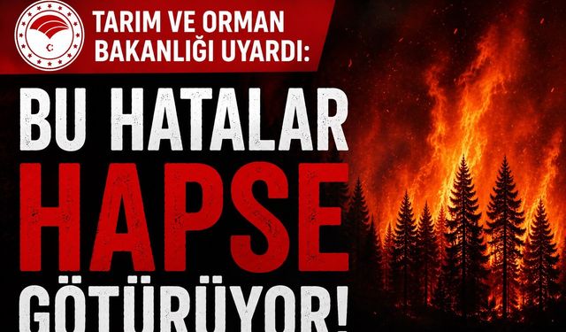 Orman Yangınlarında Ağır Cezalar Kapıda
