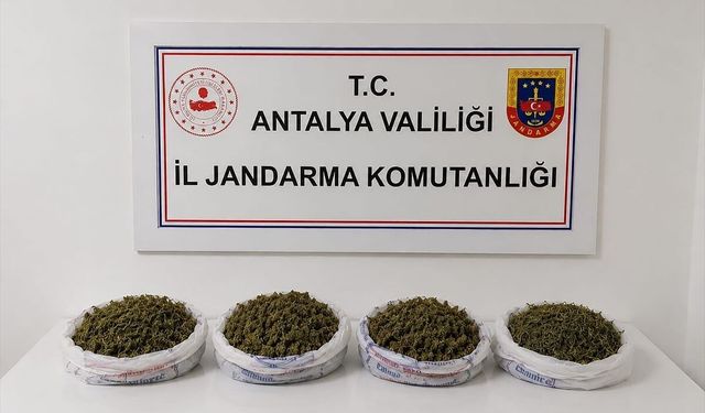 Genel