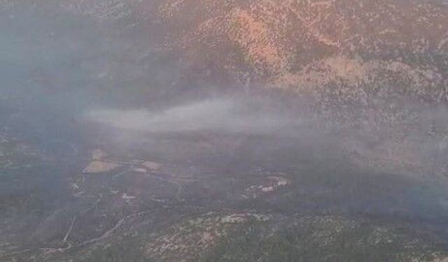 Antalya'daki orman yangını kontrol altına alındı