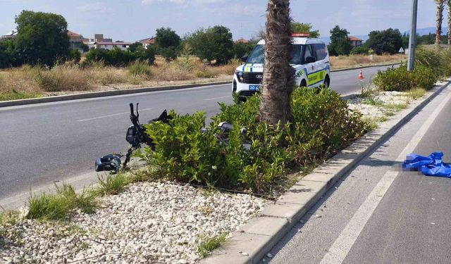 Denizli'de ağaca çarpan motosikletin sürücüsü ağır yaralandı