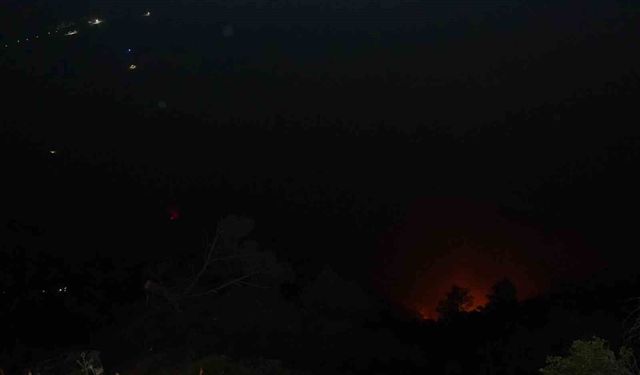 Denizli'deki orman yangını gece saatlerinde rüzgarın etkisiyle tekrardan etkili oldu