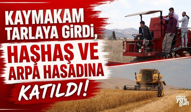 Tefenni’de hasat mesaisi: Kaymakam, üreticilerle tarlada bir araya geldi
