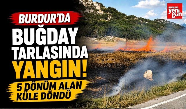 Burdur'da Buğday Tarlasında Yangın! 5 Dönüm Alan Küle Döndü