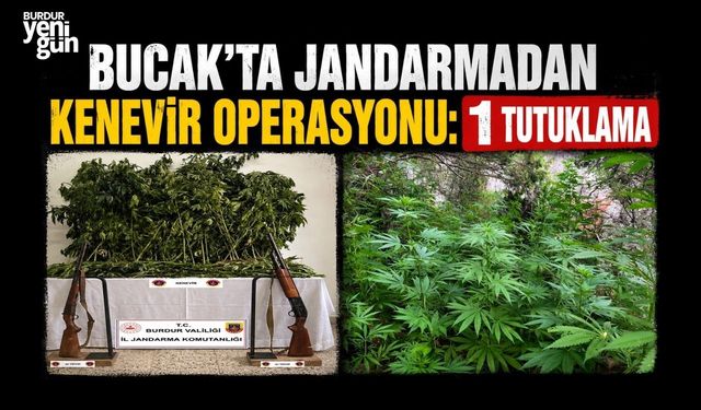 Burdur'da Jandarmadan Kenevir Operasyonu: 1 Tutuklama