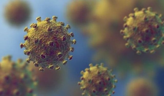 Eris virüsü nedir, belirtileri nelerdir?