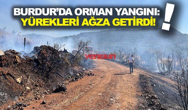 Burdur’da Orman Yangını: Yürekleri Ağza Getirdi!