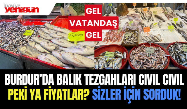 Sezon Açıldı: Burdur’da Balık Fiyatları Nasıl Seyrediyor?