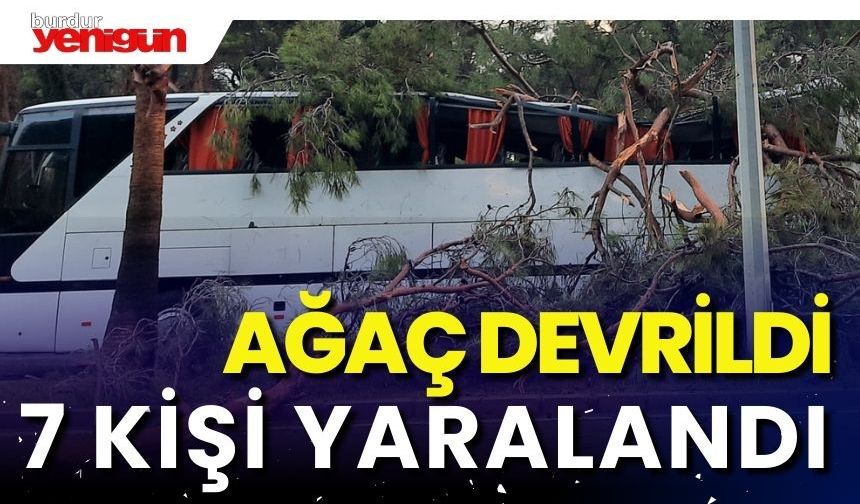Servis otobüsünün üstüne ağaç devrildi 7 kişi yaralandı