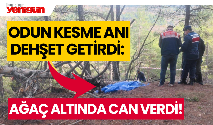 Odun Kesme Anı Dehşet Getirdi: Ağaç Altında Can Verdi