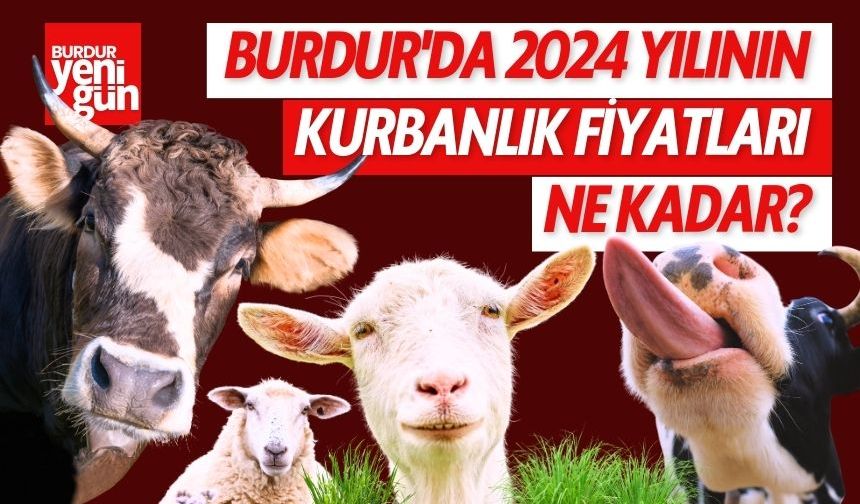 Burdur'da 2024 Yılının Kurbanlık Fiyatları Ne Kadar?
