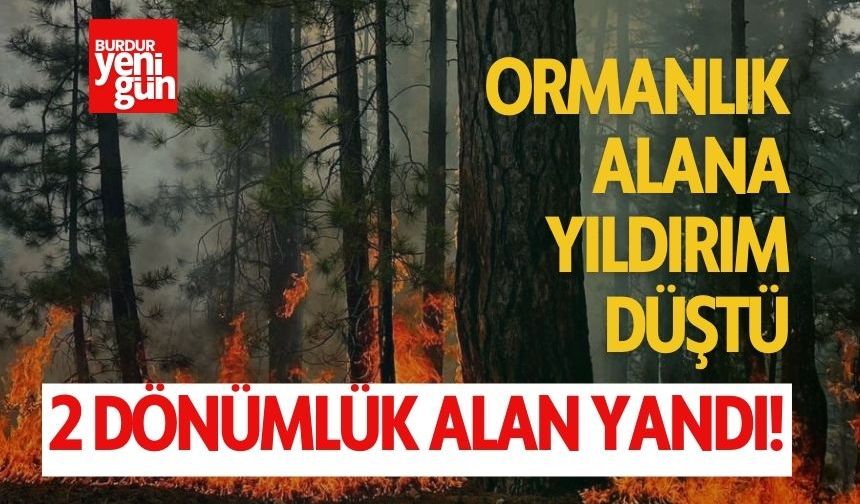 Ormanlık Alana Yıldırım Düştü: 2 Dönümlük Alan Yandı!