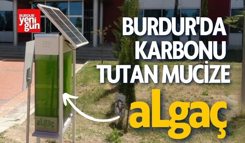 Burdur'da Karbonu Tutan Mucize: aLgaç