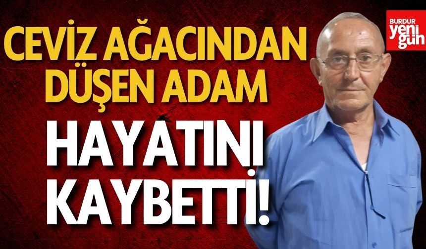 Ceviz ağacından düşen adam hayatını kaybetti