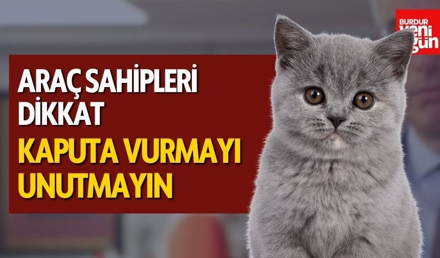 Araç Sahipleri Dikkat: Kaputa Vurmayı Unutmayın