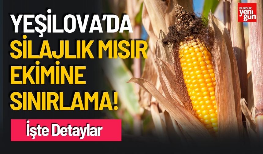 Yeşilova'da Silajlık Mısır Ekimine Sınırlama Geldi