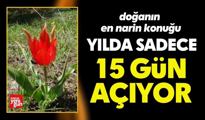 Sadece 15 Gün Yaşıyor! Göz Kamaştırdı