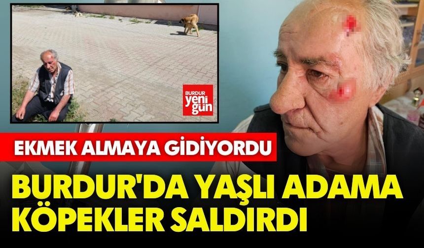 Burdur'da Yaşlı Adama Köpekler Saldırdı