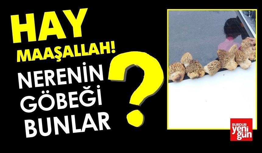 Nerenin Kuzu Göbeği Bunlar?