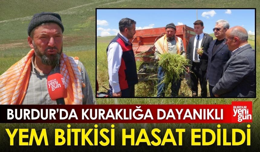 Burdur Kuraklığa Dayanıklı Yem Bitkisi Hasat Edildi
