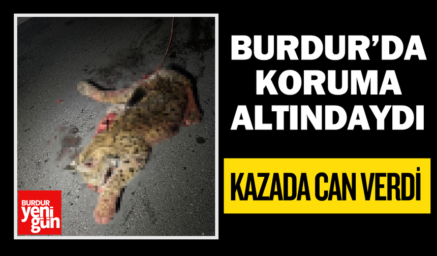 Burdur’da Koruma Altındaydı, Kazada Can Verdi