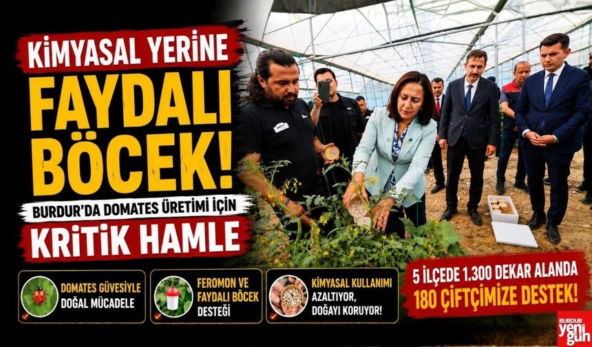 Kimyasal Yerine Faydalı Böcek! Burdur'da Domates Üretimi İçin Kritik Hamle